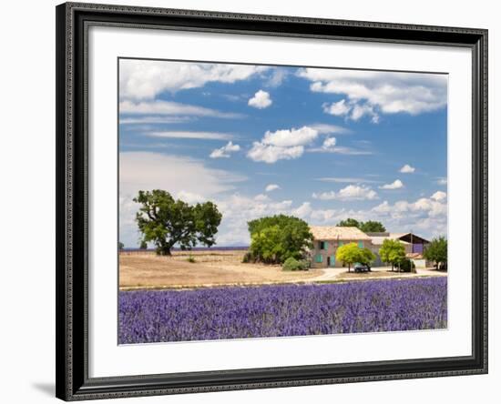 Farmhouse in a Lavender Field, Provence, France-Nadia Isakova-Framed Photographic Print
