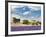 Farmhouse in a Lavender Field, Provence, France-Nadia Isakova-Framed Photographic Print