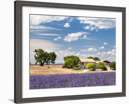 Farmhouse in a Lavender Field, Provence, France-Nadia Isakova-Framed Photographic Print