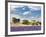 Farmhouse in a Lavender Field, Provence, France-Nadia Isakova-Framed Photographic Print