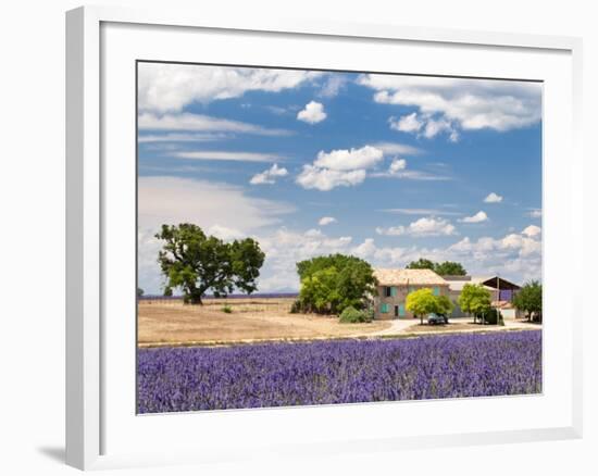 Farmhouse in a Lavender Field, Provence, France-Nadia Isakova-Framed Photographic Print