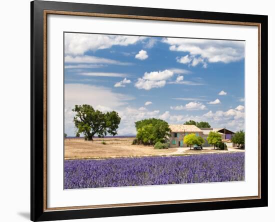 Farmhouse in a Lavender Field, Provence, France-Nadia Isakova-Framed Photographic Print