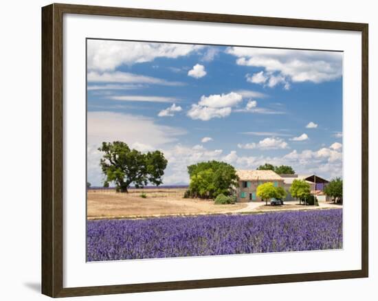 Farmhouse in a Lavender Field, Provence, France-Nadia Isakova-Framed Photographic Print