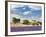 Farmhouse in a Lavender Field, Provence, France-Nadia Isakova-Framed Photographic Print