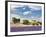 Farmhouse in a Lavender Field, Provence, France-Nadia Isakova-Framed Photographic Print