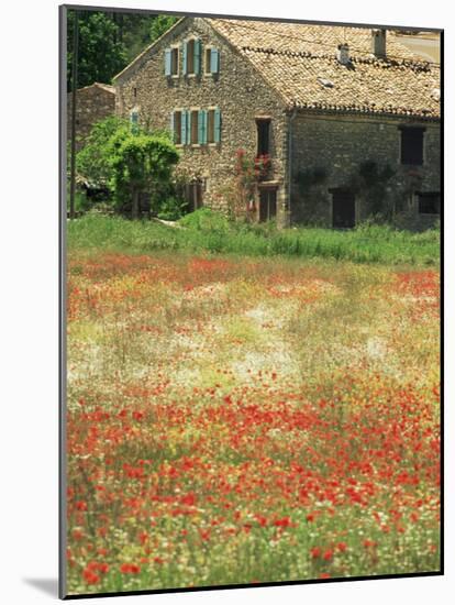 Farmhouse Near Gordes, Vaucluse, Provence, France-Michael Busselle-Mounted Photographic Print