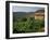 Farmhouse Near Millau, Aveyron, Midi Pyrenees, France-Michael Busselle-Framed Photographic Print