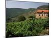 Farmhouse Near Millau, Aveyron, Midi Pyrenees, France-Michael Busselle-Mounted Photographic Print