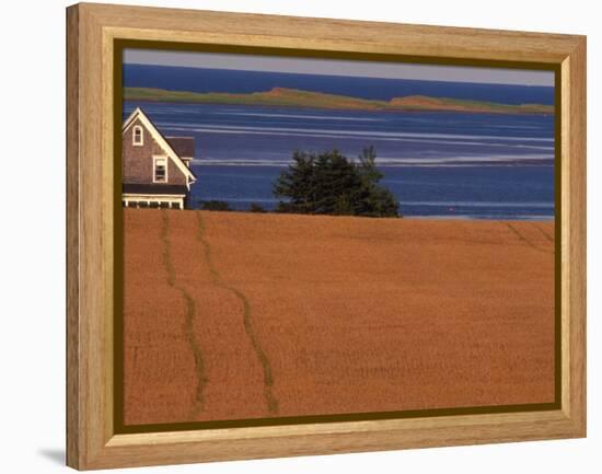 Farmhouse on Prince Edward Island, Canada-Walter Bibikow-Framed Premier Image Canvas