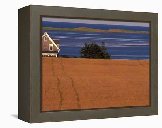 Farmhouse on Prince Edward Island, Canada-Walter Bibikow-Framed Premier Image Canvas