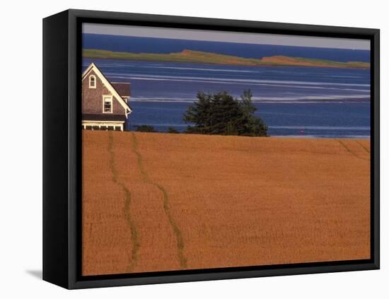 Farmhouse on Prince Edward Island, Canada-Walter Bibikow-Framed Premier Image Canvas