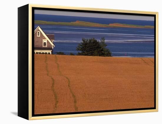 Farmhouse on Prince Edward Island, Canada-Walter Bibikow-Framed Premier Image Canvas