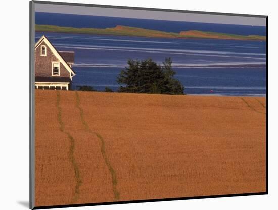 Farmhouse on Prince Edward Island, Canada-Walter Bibikow-Mounted Photographic Print