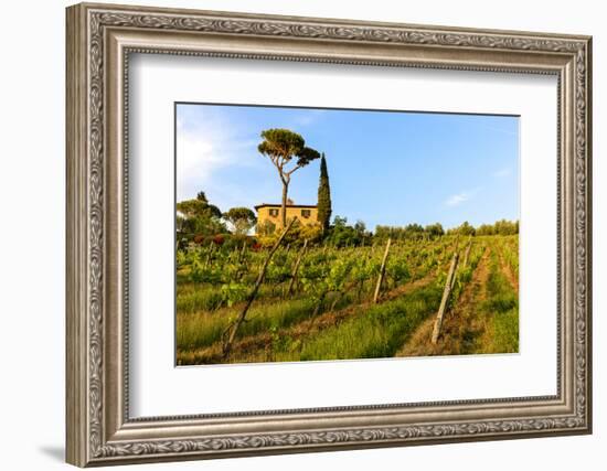 Farmhouse. Typical Rolling Hills Landscape. Tuscany, Italy-Tom Norring-Framed Photographic Print