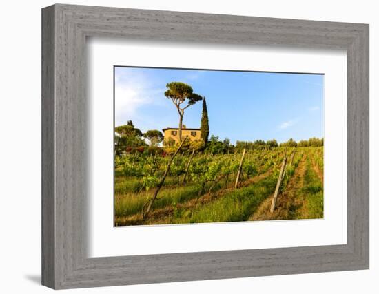 Farmhouse. Typical Rolling Hills Landscape. Tuscany, Italy-Tom Norring-Framed Photographic Print