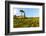 Farmhouse. Typical Rolling Hills Landscape. Tuscany, Italy-Tom Norring-Framed Photographic Print