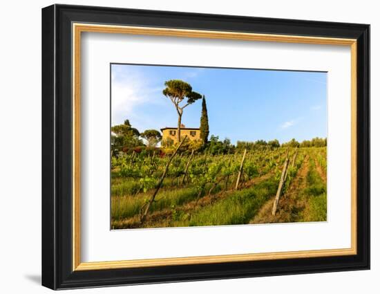 Farmhouse. Typical Rolling Hills Landscape. Tuscany, Italy-Tom Norring-Framed Photographic Print