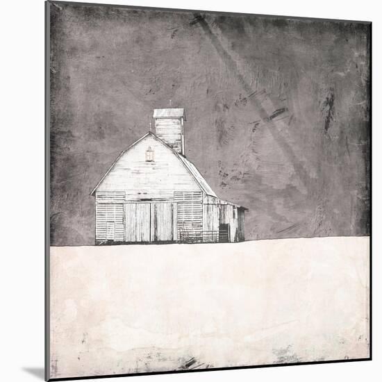 Farmhouse under Grey Skies-Ynon Mabat-Mounted Art Print