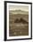 Farmhouse, Val D' Orcia, Tuscany, Italy-Doug Pearson-Framed Photographic Print