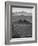 Farmhouse, Val D' Orcia, Tuscany, Italy-Doug Pearson-Framed Photographic Print