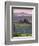 Farmhouse, Val D' Orcia, Tuscany, Italy-Doug Pearson-Framed Photographic Print