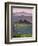 Farmhouse, Val D' Orcia, Tuscany, Italy-Doug Pearson-Framed Photographic Print