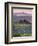 Farmhouse, Val D' Orcia, Tuscany, Italy-Doug Pearson-Framed Photographic Print