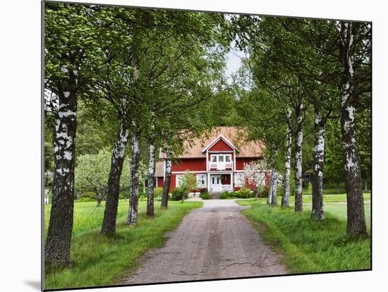 Farmhouse, Varmland, Sweden, Scandinavia, Europe-Jochen Schlenker-Mounted Photographic Print