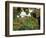 Farmhouse View Through Grapevine, Tuscany, Italy-John & Lisa Merrill-Framed Photographic Print