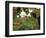 Farmhouse View Through Grapevine, Tuscany, Italy-John & Lisa Merrill-Framed Photographic Print