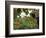 Farmhouse View Through Grapevine, Tuscany, Italy-John & Lisa Merrill-Framed Photographic Print