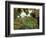 Farmhouse View Through Grapevine, Tuscany, Italy-John & Lisa Merrill-Framed Photographic Print