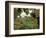 Farmhouse View Through Grapevine, Tuscany, Italy-John & Lisa Merrill-Framed Photographic Print