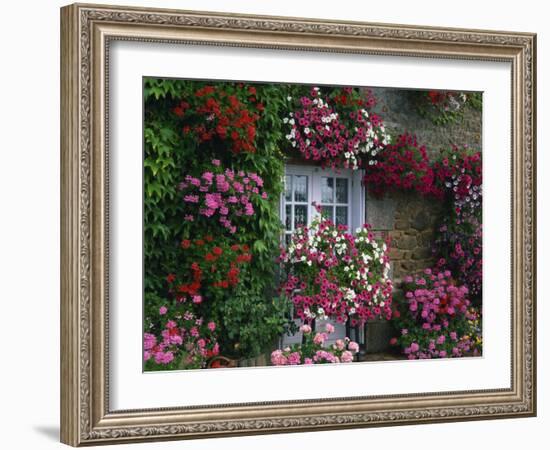 Farmhouse Window Surrounded by Flowers, Ille-et-Vilaine, Brittany, France, Europe-Tomlinson Ruth-Framed Photographic Print