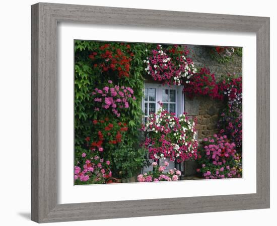 Farmhouse Window Surrounded by Flowers, Ille-et-Vilaine, Brittany, France, Europe-Tomlinson Ruth-Framed Photographic Print