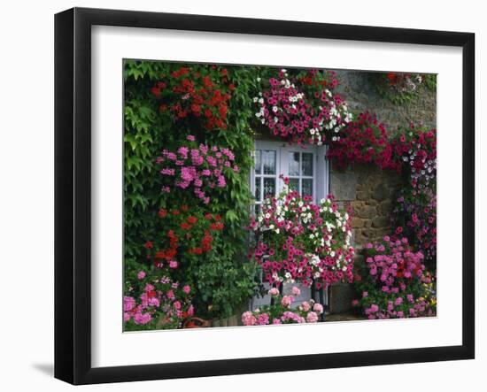 Farmhouse Window Surrounded by Flowers, Ille-et-Vilaine, Brittany, France, Europe-Tomlinson Ruth-Framed Photographic Print