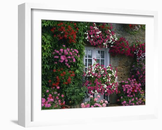 Farmhouse Window Surrounded by Flowers, Ille-et-Vilaine, Brittany, France, Europe-Tomlinson Ruth-Framed Photographic Print