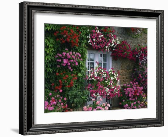 Farmhouse Window Surrounded by Flowers, Ille-et-Vilaine, Brittany, France, Europe-Tomlinson Ruth-Framed Photographic Print