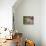 Farmhouse Window Surrounded by Flowers, Lile-Et-Vilaine Near Combourg, Brittany, France, Europe-Ruth Tomlinson-Photographic Print displayed on a wall