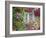 Farmhouse Window Surrounded by Flowers, Lile-Et-Vilaine Near Combourg, Brittany, France, Europe-Ruth Tomlinson-Framed Photographic Print