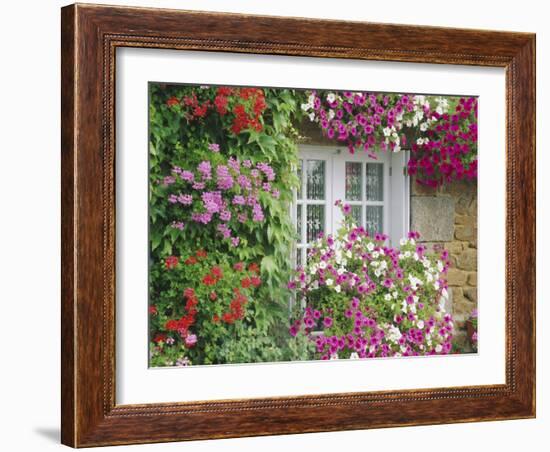 Farmhouse Window Surrounded by Flowers, Lile-Et-Vilaine Near Combourg, Brittany, France, Europe-Ruth Tomlinson-Framed Photographic Print