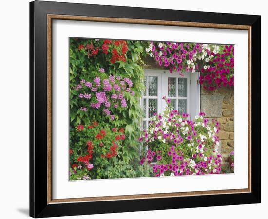 Farmhouse Window Surrounded by Flowers, Lile-Et-Vilaine Near Combourg, Brittany, France, Europe-Ruth Tomlinson-Framed Photographic Print