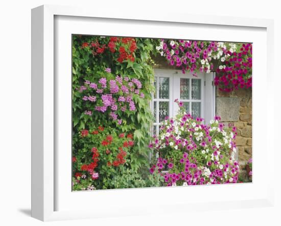 Farmhouse Window Surrounded by Flowers, Lile-Et-Vilaine Near Combourg, Brittany, France, Europe-Ruth Tomlinson-Framed Photographic Print