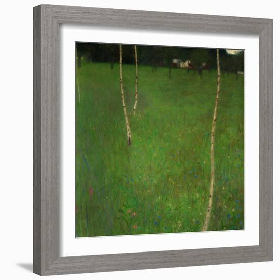 Farmhouse with Birch Trees-Gustav Klimt-Framed Giclee Print