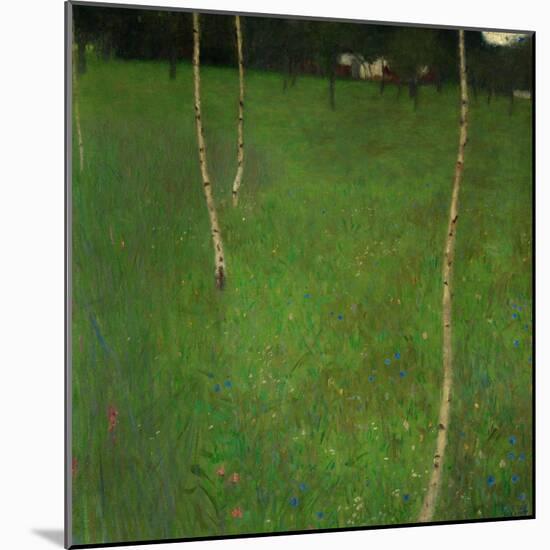 Farmhouse with Birch Trees-Gustav Klimt-Mounted Giclee Print