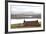 Farmhouse with Red Iron Roof Overlooking Lochs and Mountains Off the A858 South of Carloway-Lee Frost-Framed Photographic Print