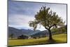 Farmhouses and Gosaukamm, Austria, Salzkammergut, Gosau-Volker Preusser-Mounted Photographic Print