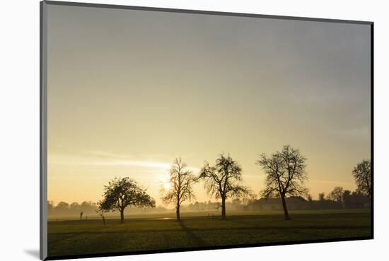 Farmhouses in Sicking at Sundown, Austria, Desselbrunn-Volker Preusser-Mounted Photographic Print