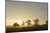 Farmhouses in Sicking at Sundown, Austria, Desselbrunn-Volker Preusser-Mounted Photographic Print