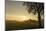 Farmhouses in Sicking at Sundown, Austria, Desselbrunn-Volker Preusser-Mounted Photographic Print